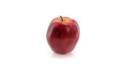 Fruits Mixty