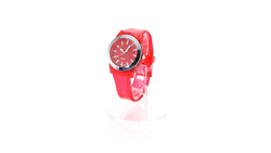 Montre Vetus