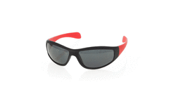 Sunglasses Hortax