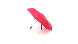 Regenschirm Dack
