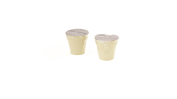 Set Vaso Nertel
