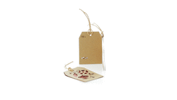 Postal de Natal Goslak